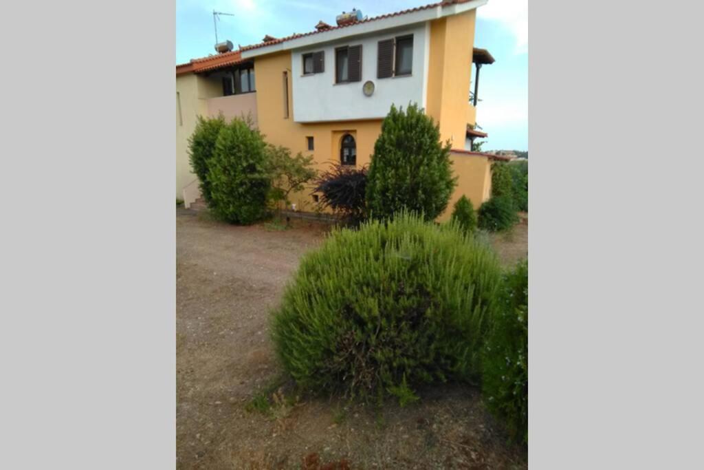 "Klio" Appartment Nikiti  Esterno foto